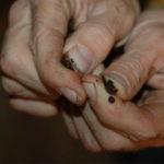 Break open the flavor of the freshly roasted bean